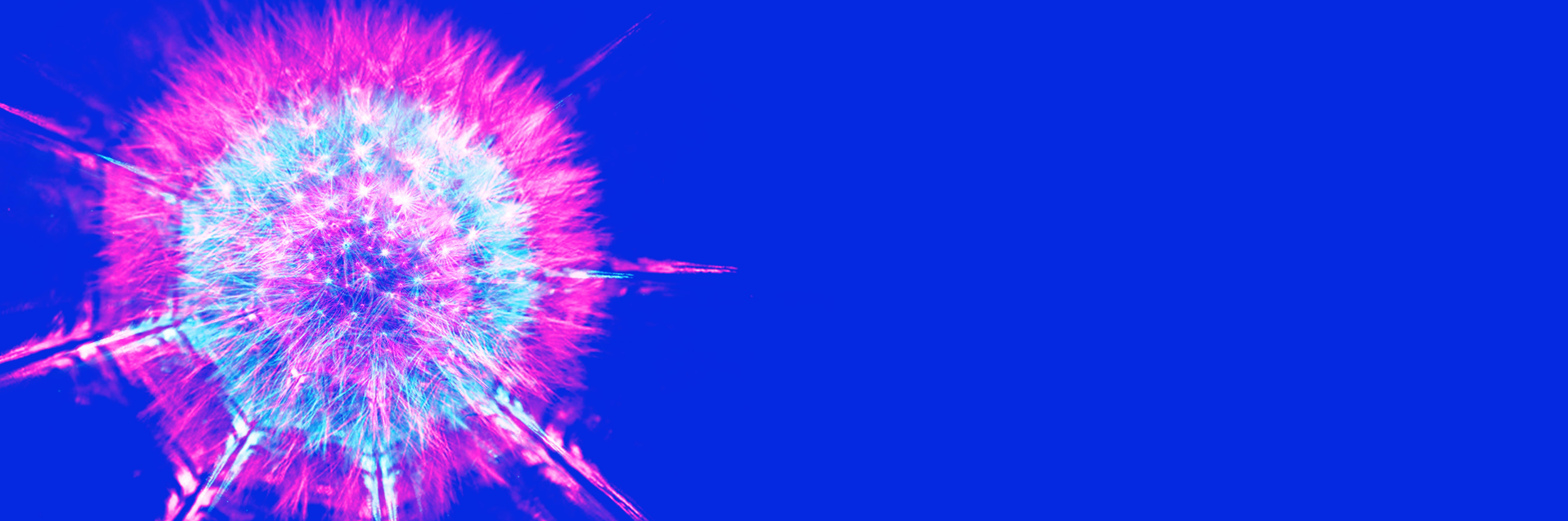 VAGA — Mostra de Artes e Ideias 2025